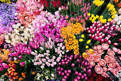 《VEILED EXPERTS 幕后高手》5月19日开启抢先体验 参与活动瓜分10万奖金