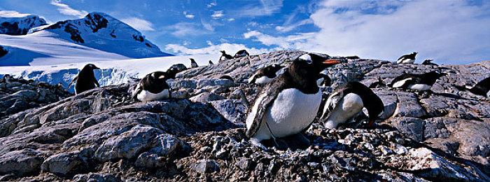 由于恋童癖指控 索尼PSN高管被解雇