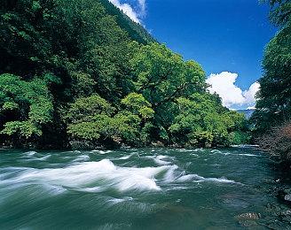 由原“猴岛小英雄”总监负责 续作《重返猴岛》公布